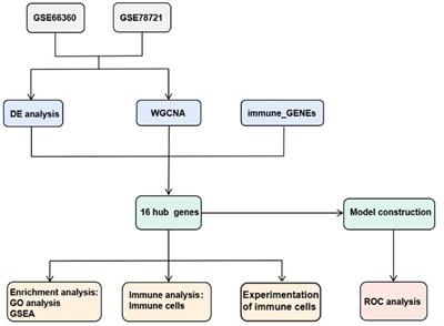 CD8+ T and NK cells characterized by upregulation of NPEPPS and ABHD17A are associated with the co-occurrence of type 2 diabetes and coronary artery disease